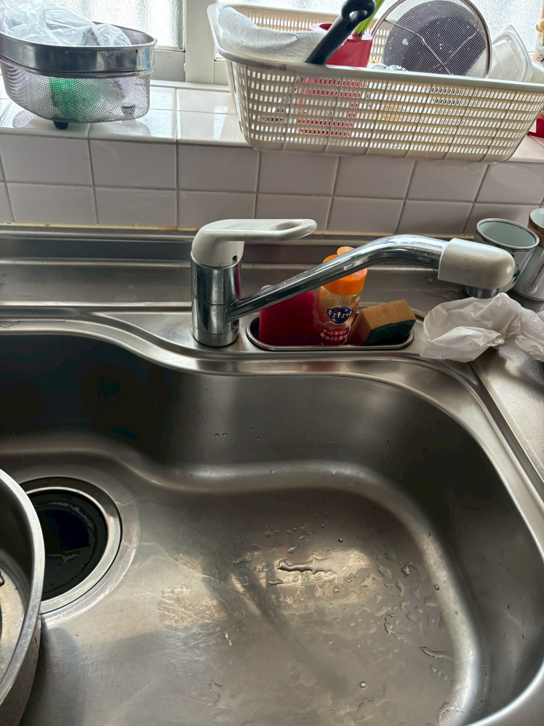 12316562_722723917828819_2075766278658722220_n