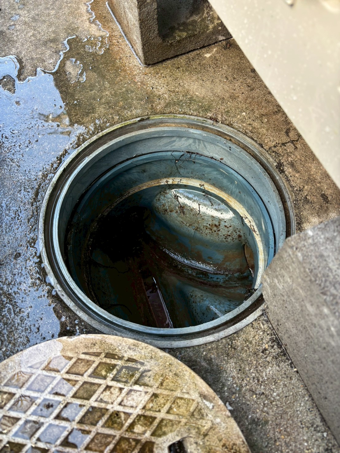 12316562_722723917828819_2075766278658722220_n