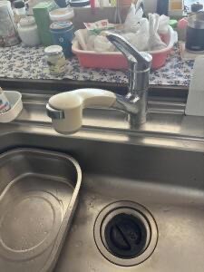 12316562_722723917828819_2075766278658722220_n